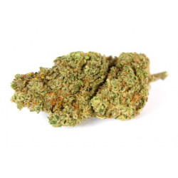 BLUE DREAM