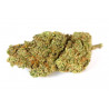 BLUE DREAM