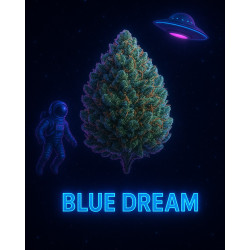 BLUE DREAM