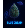 BLUE DREAM