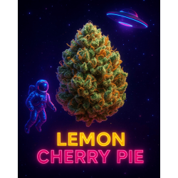 LEMON CHERRY PIE