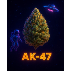 AK47
